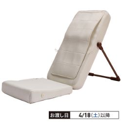 マッサージチェア　まるでカメレオンシリーズ　TTM-2401IV