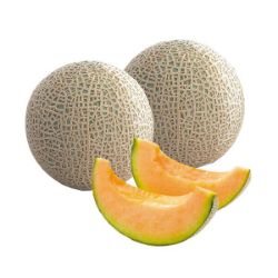 赤肉メロン(フェスタ)2玉化粧箱【限定50点】