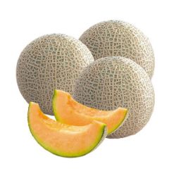 赤肉メロン（フェスタ）4Lサイズ【限定100点】