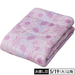 軽量ふわふわ掛ふとん  パープル