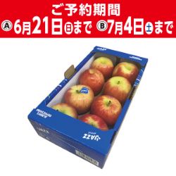輸入りんご(JAZZ)小箱　8個入り