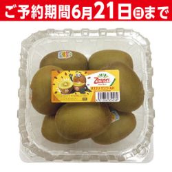 キウイフルーツ(サンゴールド)特大パック