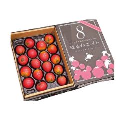 フルーツトマト（はるかエイト）【限定100点】