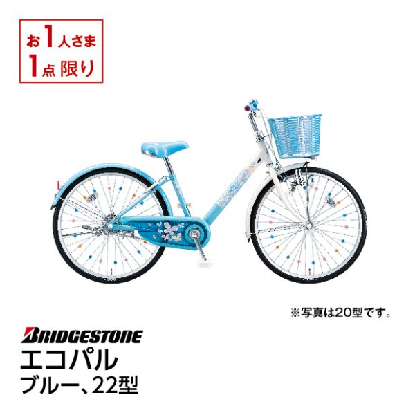 エコパル＜２２インチ ブルー＞(ブリヂストン)の商品詳細ページ｜【九州】九州大感謝祭_10月6日～9日|イオンおトク！e予約