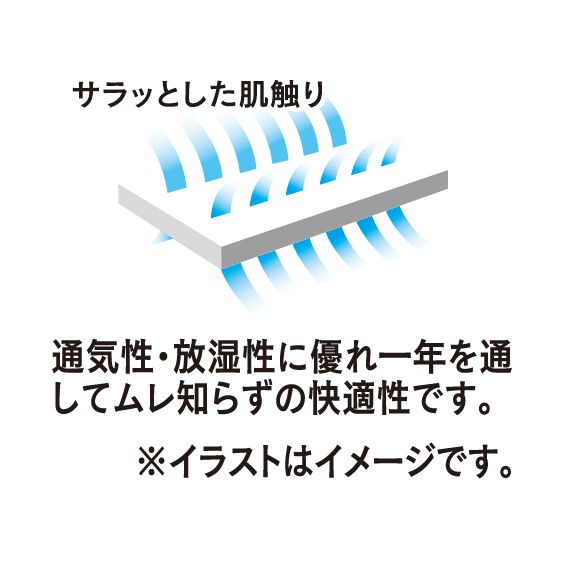 プレミアムウィング(マットレス兼用敷ふとん)(ドルミール)の商品詳細ページ｜【本州・四国】1日限りの特別価格_2月27日|イオンおトク！e予約