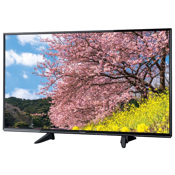 49型「4K対応」液晶テレビ(Panasonic)の商品詳細ページ｜【イオン