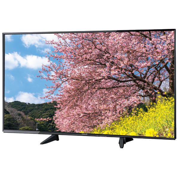 55型 4k対応 液晶テレビ Panasonic の商品詳細ページ イオンスタイル座間 Open記念特別企画 特別予約販売 3月3日 5日 イオン おトク E予約