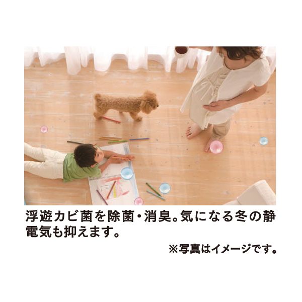 プラズマクラスターエアコン AY-H22DG(シャープ)の商品詳細ページ