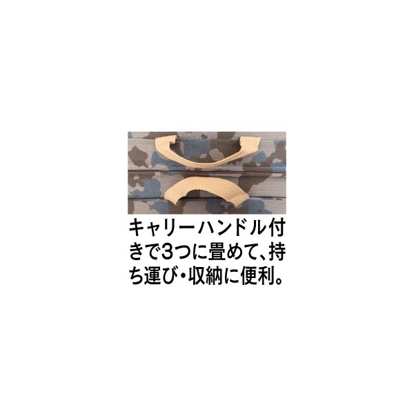 カモ・ウィング+ロロボールピロー2点セット(マニフレックス )の商品詳細ページ｜【本州・四国】2日間限りの特別価格_12月29日～30日|イオンおトク！e予約