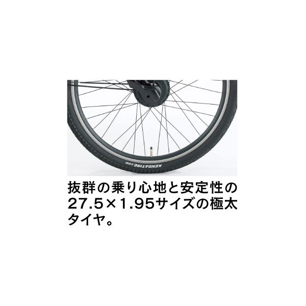 ネオサージュe＋(プラス) ※4月11日(土)以降のお渡しとなります。(イオンバイクオリジナル モデル)の商品詳細ページ｜【本州・四国】1日限りの特別価格_3月30日|イオンおトク！e予約