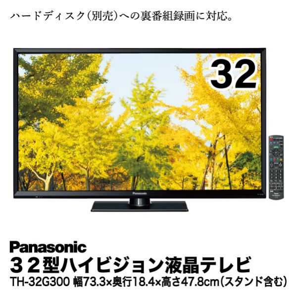 ハイビジョン液晶テレビ32型Panasonic VIERA TH-32G300 - テレビ