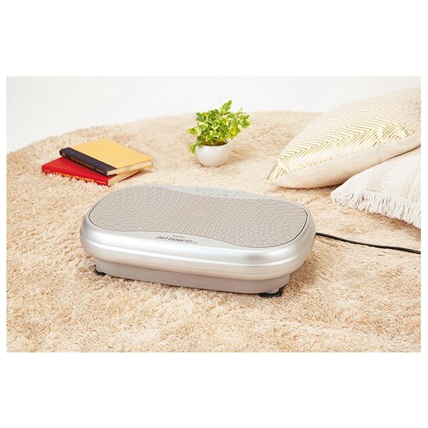 ジェットボード ライト 振動マシン AIM-FN048(ツカモトエイム)の商品