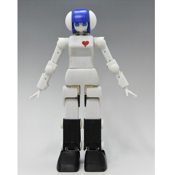 DMM.make ROBOTS 卓上ロボットアイドル【プリメイドAI】 ※100点