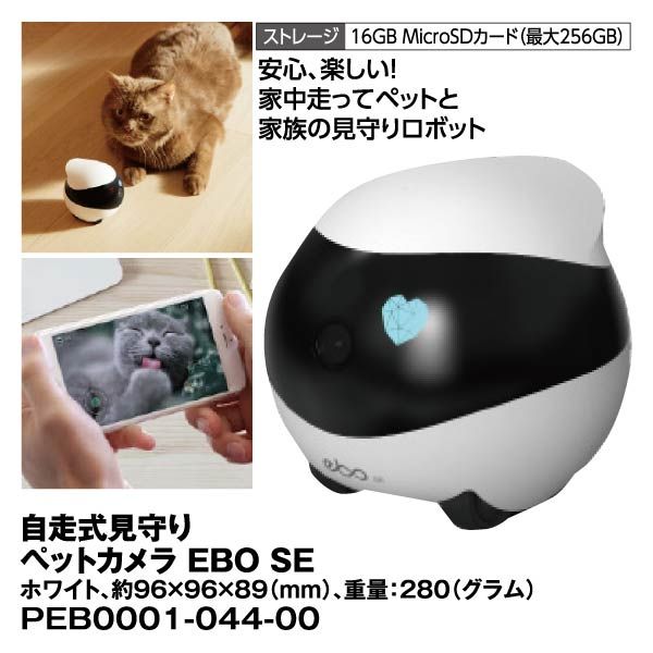 Amazon.co.jp: ebo SE イーボ ペットカメラ お友達ロボット