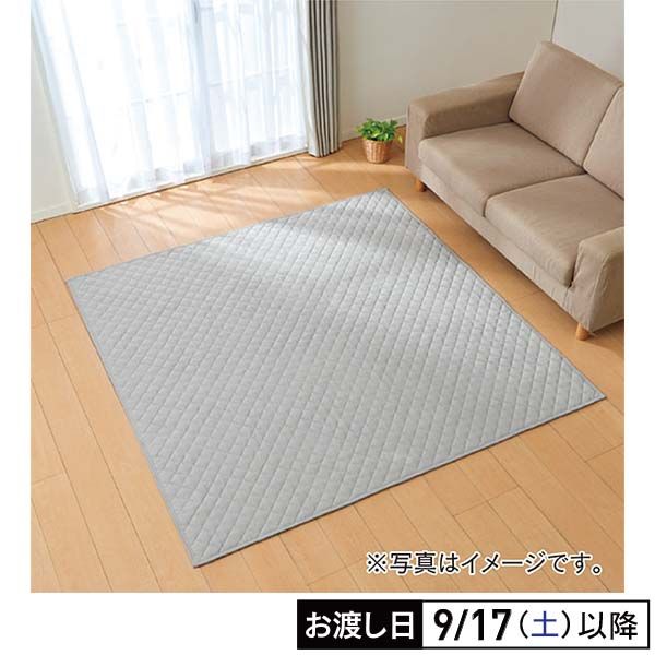 ニトリ ラグ フロアマット 50×80 殺し