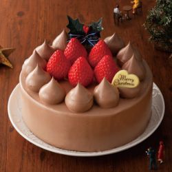 苺のチョコレートケーキ　5号