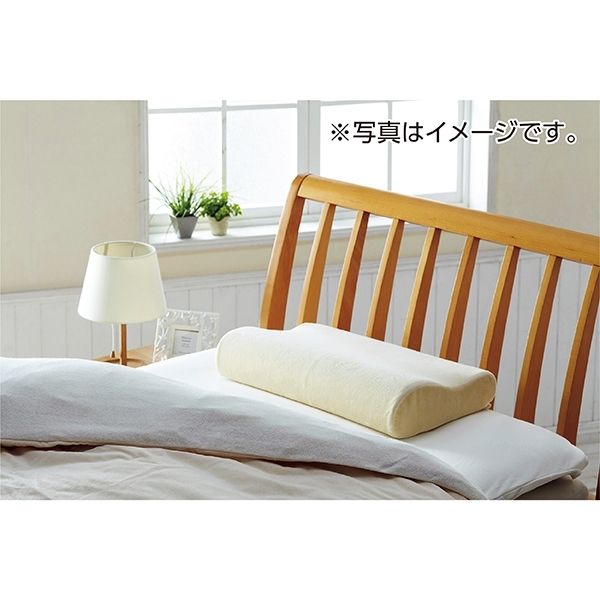 トゥルースリーパーライト3.5＆ネックフィットピロー セット(ショップ