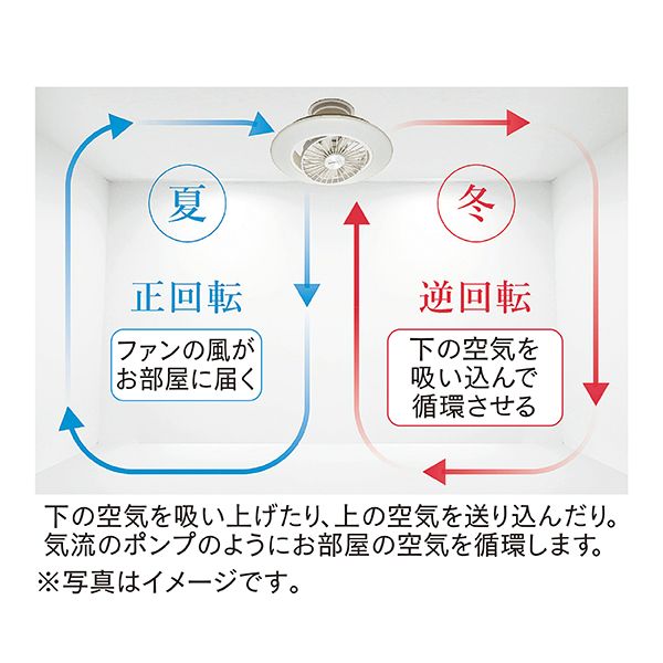 サーキュライトEZシリーズ スイングモデル 8畳タイプ(ドウシシャ)の