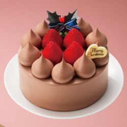 苺のチョコレートケーキ4号