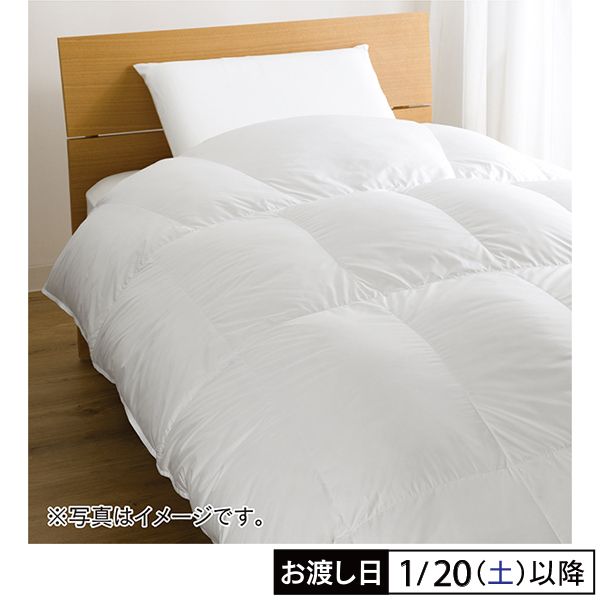 ダックダウン93％ 洗える羽毛掛ふとん(ホームコーディ)の商品詳細