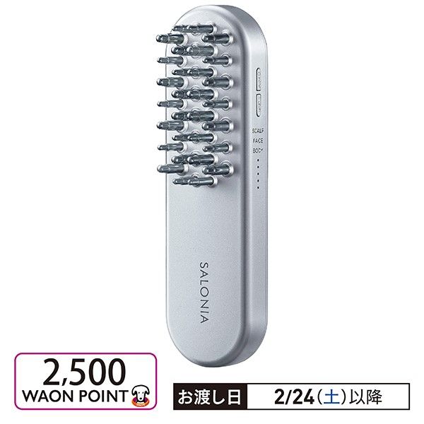 EMSリフトブラシ(SALONIA)の商品詳細ページ｜【本州・四国】A