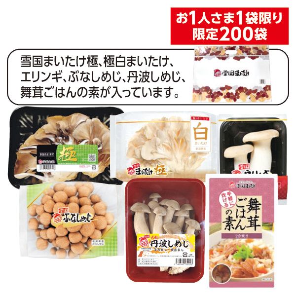 S2019】きのこお楽しみ袋 【お1人さま1袋限り・限定200袋】(新潟県など