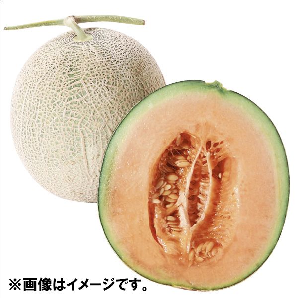 メロン さん専用ページ 富良野メロン 3Lサイズ(北海道産)の商品詳細ページ｜【北関東】夏の大