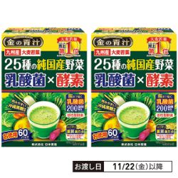 25種の純国産野菜　乳酸菌X酵素　まとめて2個で