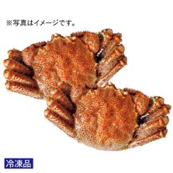 【年末お渡し】ボイル毛がに　超特大(加熱不要)2尾