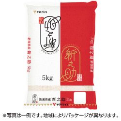 新潟県産新之助5kg