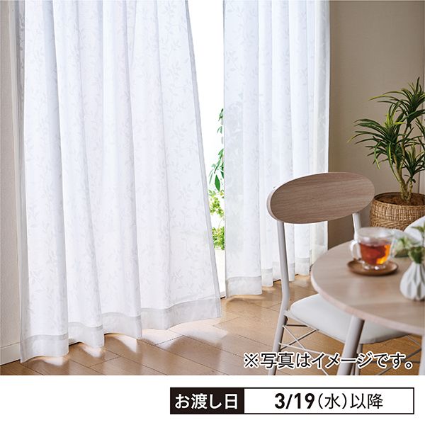 レースカーテン 幅100cm×丈186cm 2枚入りの商品詳細ページ｜【本州