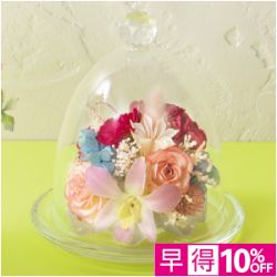 ジュエルフルール「ミュゼ」(早得)【4/17(木)15時まで！】
