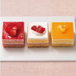 犬猫用クリスマスケーキプチケーキアソート