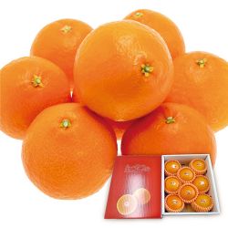 紅まどんな化粧箱【限定200点】