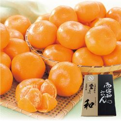 高糖度みかん(和みかん)【限定200点】