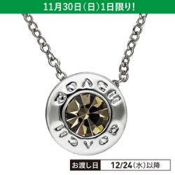 オープン サークル ストーン ストランド ネックレス F54514/SLV/N