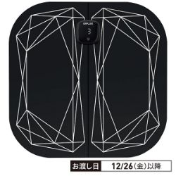 レッグフィット