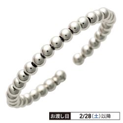 プラチナ・フリーサイズリング