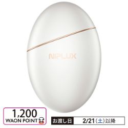 美容ガンBEGUN　NP-BG25W